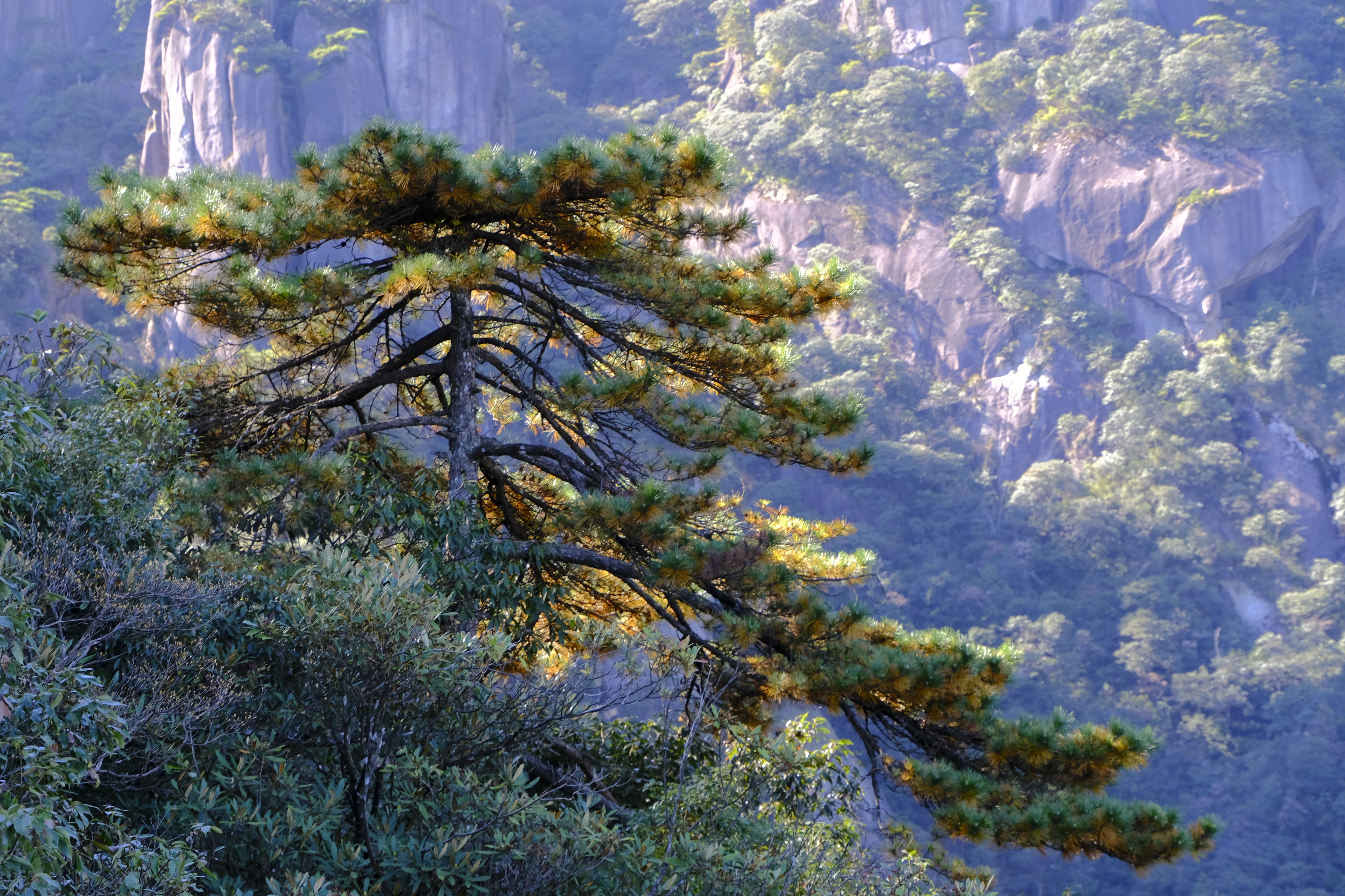 2025  “赣“出精彩-kaiyun开云电竞官方网站