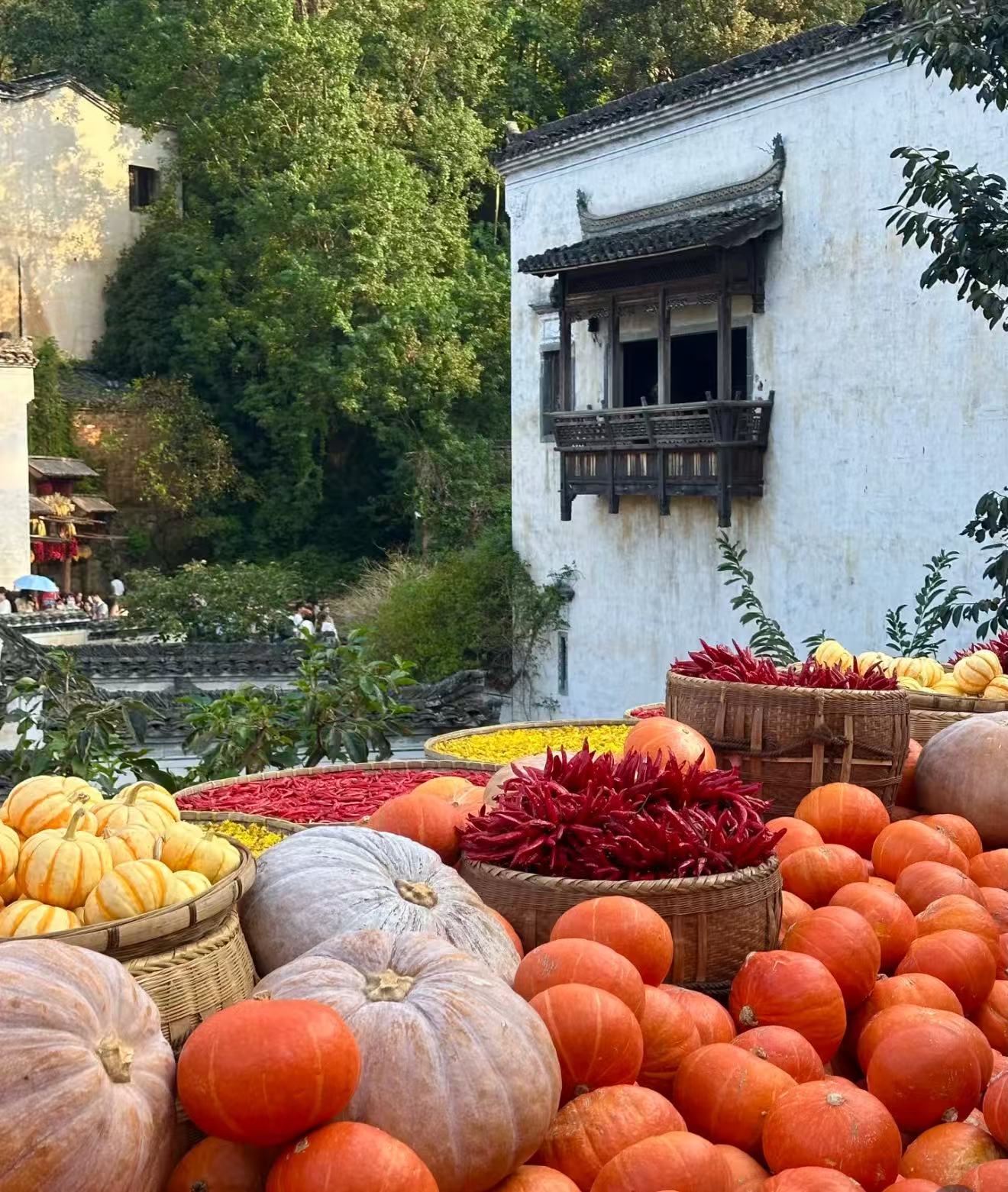 2025  “赣“出精彩-kaiyun开云电竞官方网站