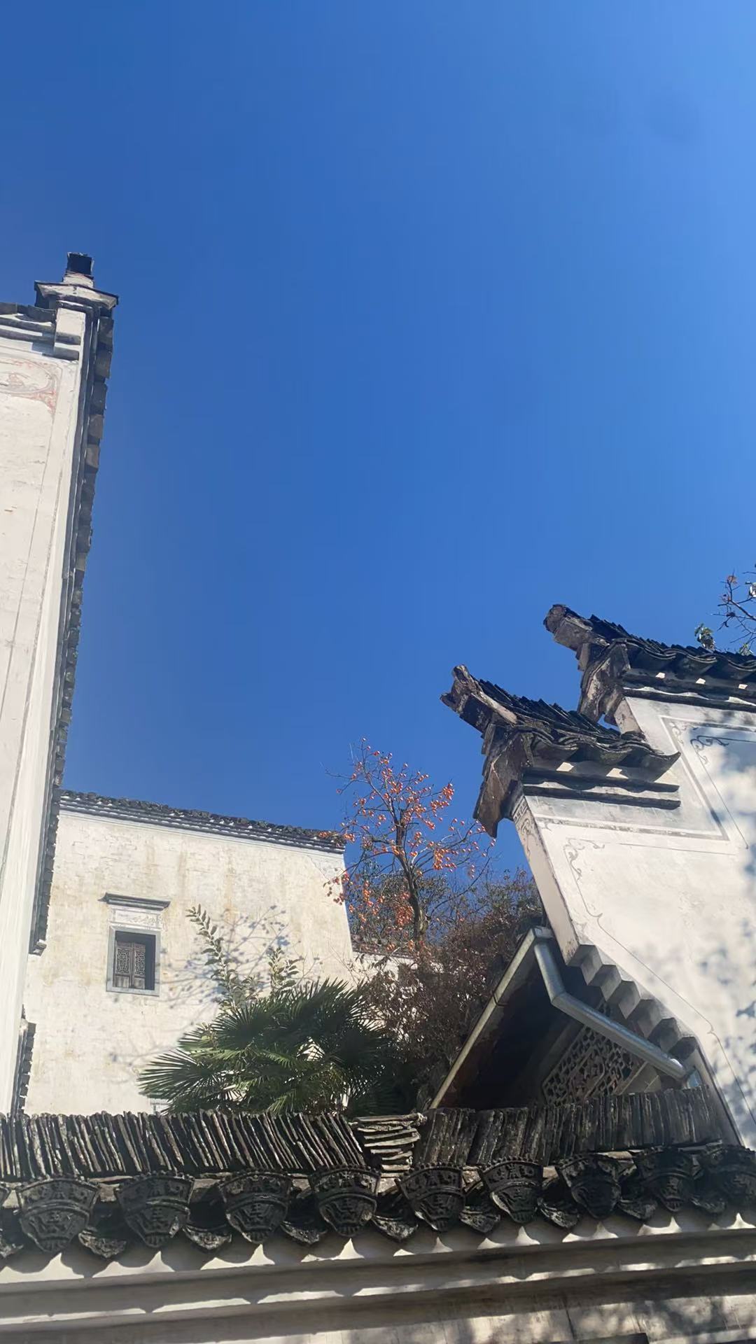 2025  “赣“出精彩-kaiyun开云电竞官方网站