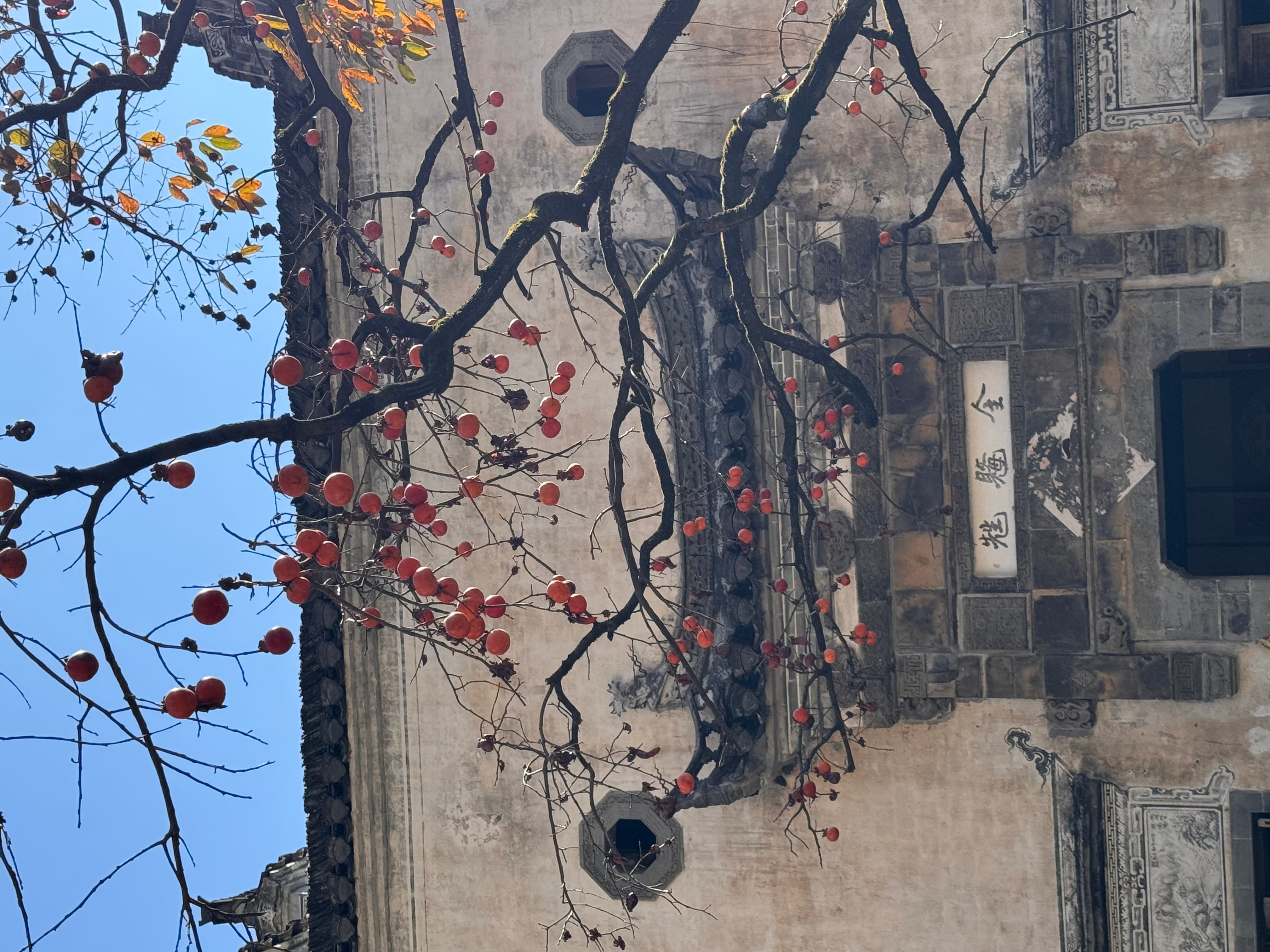 2025  “赣“出精彩-kaiyun开云电竞官方网站