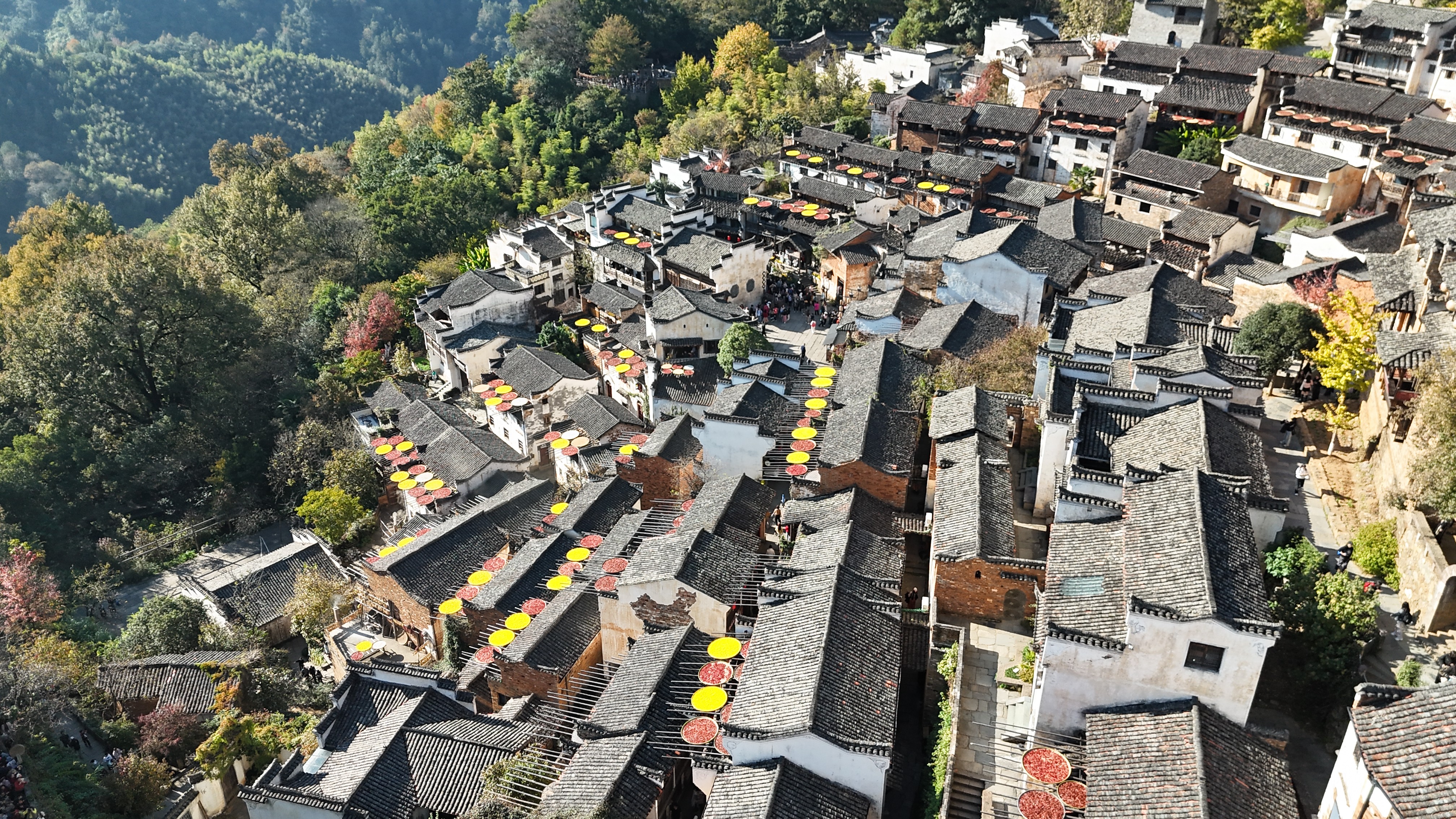 2025  “赣“出精彩-kaiyun开云电竞官方网站