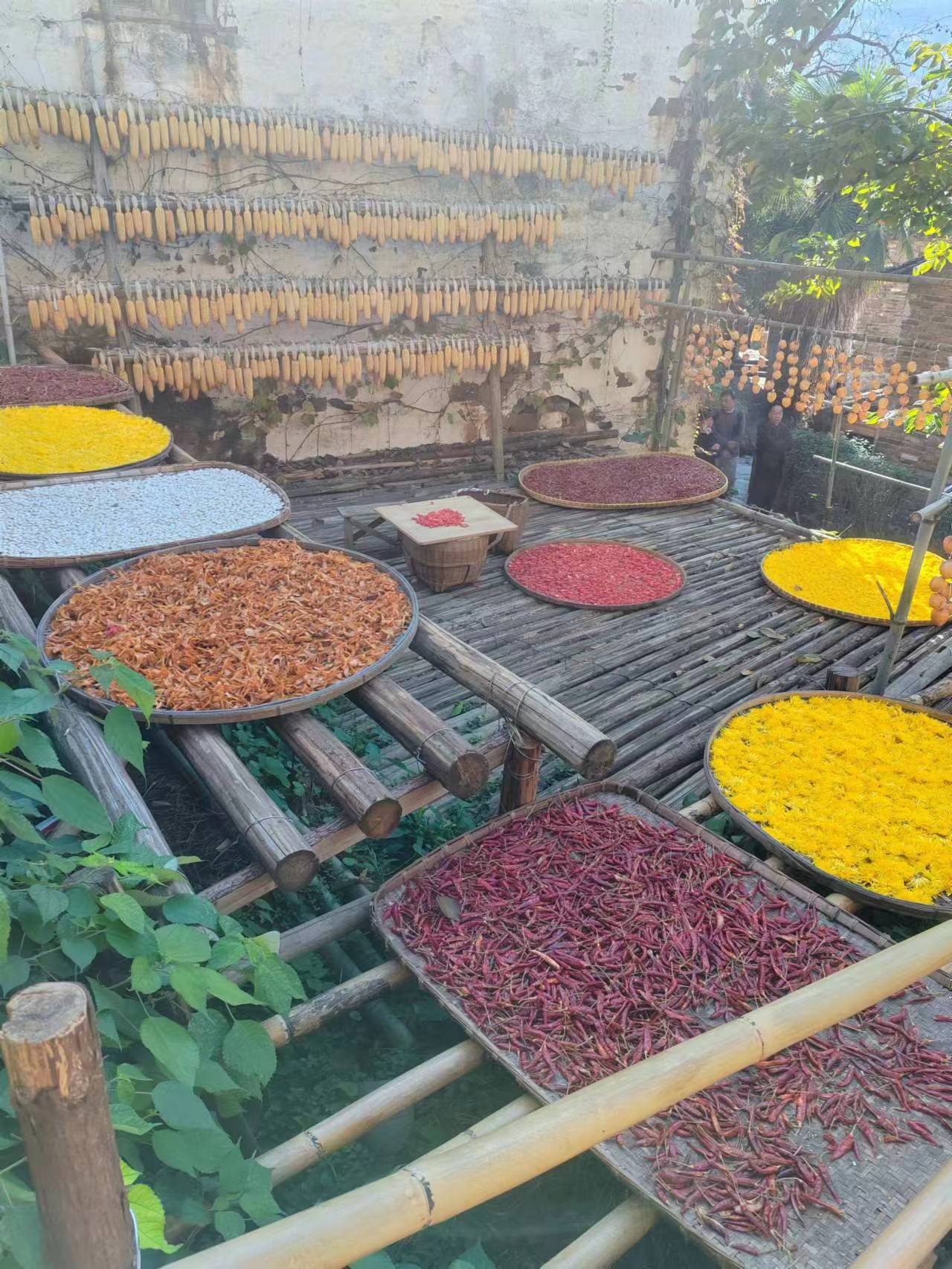 2025  “赣“出精彩-kaiyun开云电竞官方网站